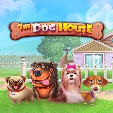 Fontan Casino The Dog House